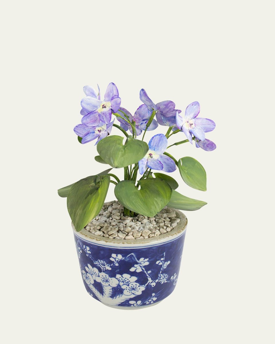 Violet February Birth Flower in Ceramic Pot